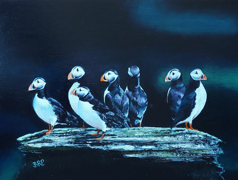 Puffins  - Brenda Ritchie Patience