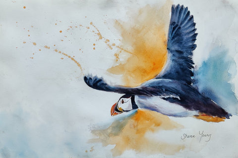 Puffin In Flight - Sheree Young